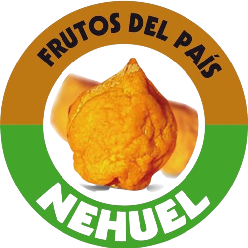 Logo de Nehuel - Partner corporativo de Falta1
